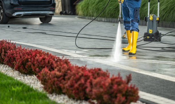 Best Roof Washing  in Tyro, NC